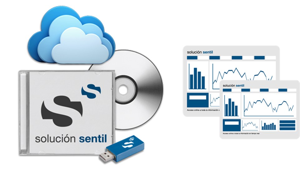 El sistema software de gestión